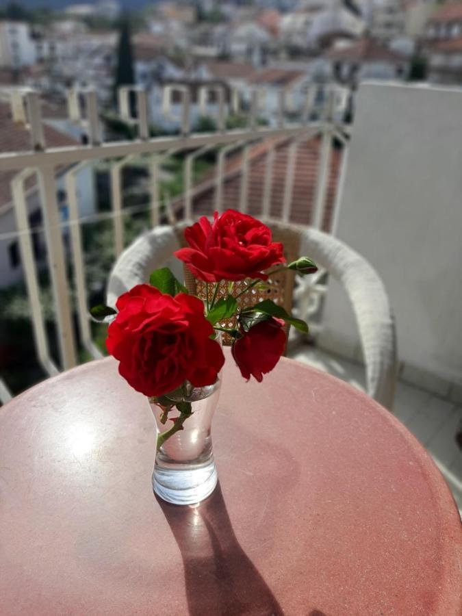 Apartment Danilo تْشيرسيك نوفي المظهر الخارجي الصورة